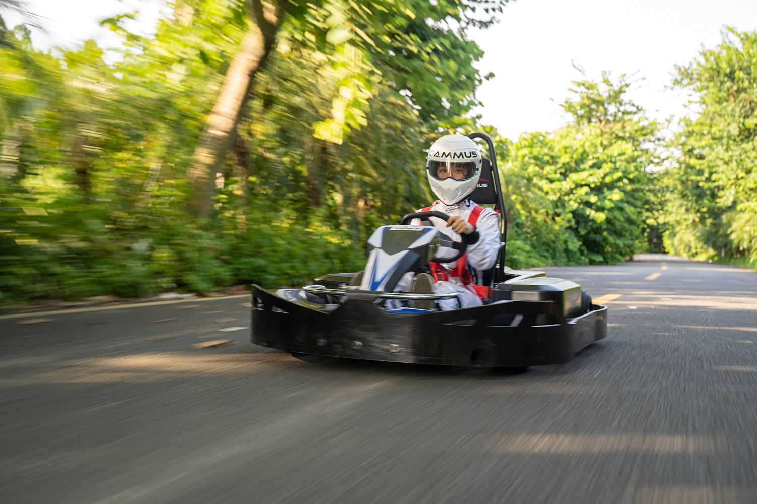 3.5KW*2 Performance Go Kart 1050mm Wheelbase For Entertainment Park