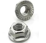 Carbon Steel / Stainless Steel Hex Flange Nuts M5 - M20 With Coarse / Fine