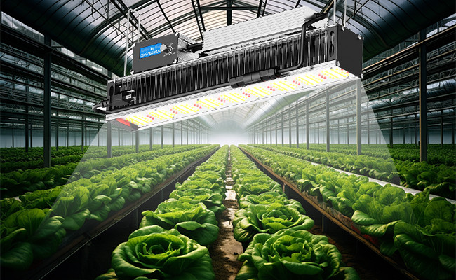 400Watt Farm Agricultural LED Light Linear Grow Spectrum Bar Toplighting Greenhouse Horticulture Samsung LED Chips