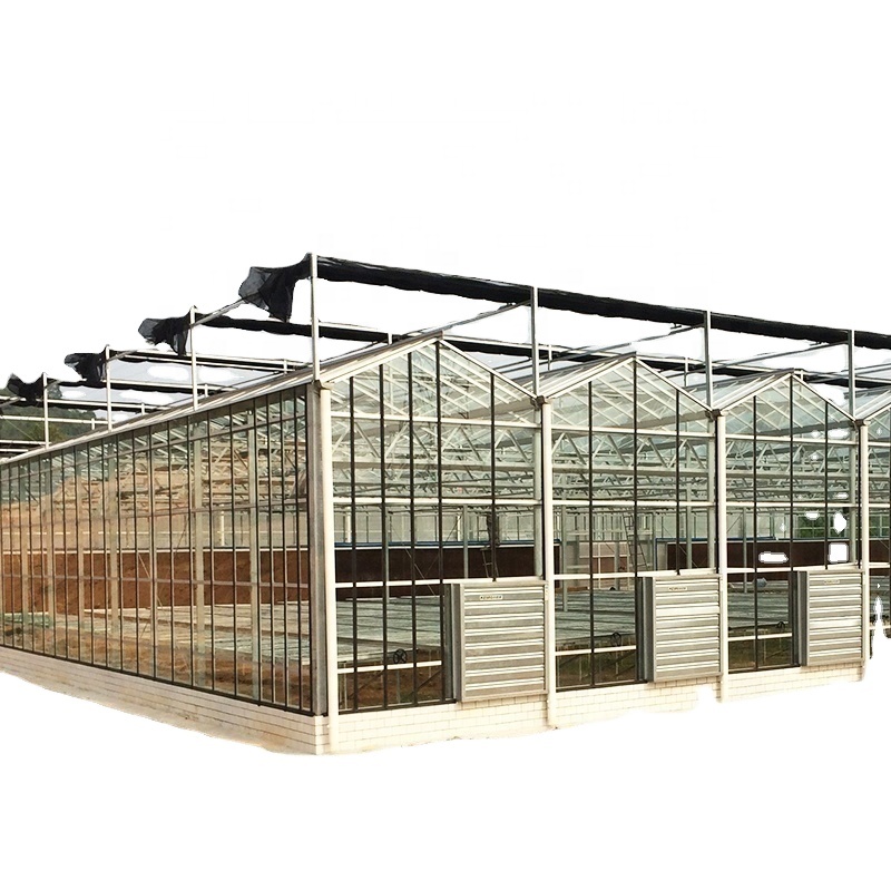 Used Container Tomato Greenhouse PE Material Optional Ventilation System