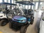 Blue Purple Color 4 Seater Golf Cart New Design Motor Depot AC Motor 3.5kw