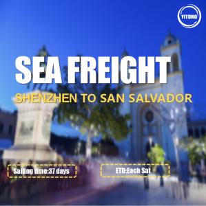 Wholesale Shenzhen To San Salvador International Ocean Logistics Via ACAJUTLA from china suppliers