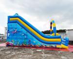 Ocean World Dual Lane Commercial Inflatable Water Slide