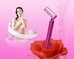 Wholesale Plastic Changeable Mens Disposable Shavers With Twin Stainless Steel Razor Blade from china suppliers