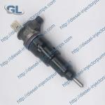 Diesel Fuel F2E Unit Injector BEBJ1F11201 BEBEJ1F11101 22450522 22459522