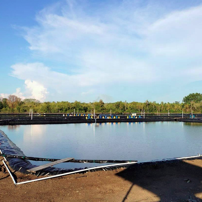 0.5mm Black HDPE Geomembrane for Fish Farming Long-Lasting and Environmentally Friendly