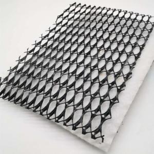 Wholesale HDPE 3D Salt Barrier Drainage Geonet Geocomposite net for Landfill Road Garden Drainage from china suppliers