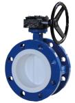 BS AWWA DN150 Soft Sealing Stainless Steel Double Eccentric Butterfly Valve