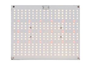 Wholesale 380nm 5000K Quantum Board Led Grow Lights from china suppliers