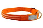 Metal Buckle LED Dog Collar USB Rechargeable Maximize Dog's Visibility