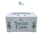 Broccoli Corflute Storage Boxes Honeycomb Corrugated Box For Fruits