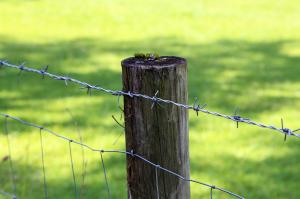 Wholesale Iron 50m Long Woven Wire Cattle Fencing No Rust for farm from china suppliers