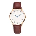 316L Stainless Steel Back Japan Quartz Watch Simple Design