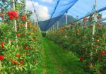 A Leading Manufacturer And Retailer Of Crop Input Products, Crop Protection