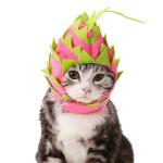 Headset Fire Dragon Fruit Shape Pet Headdress For Christmas