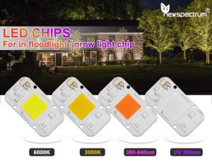 Wholesale 3000K Uv Light Module from china suppliers