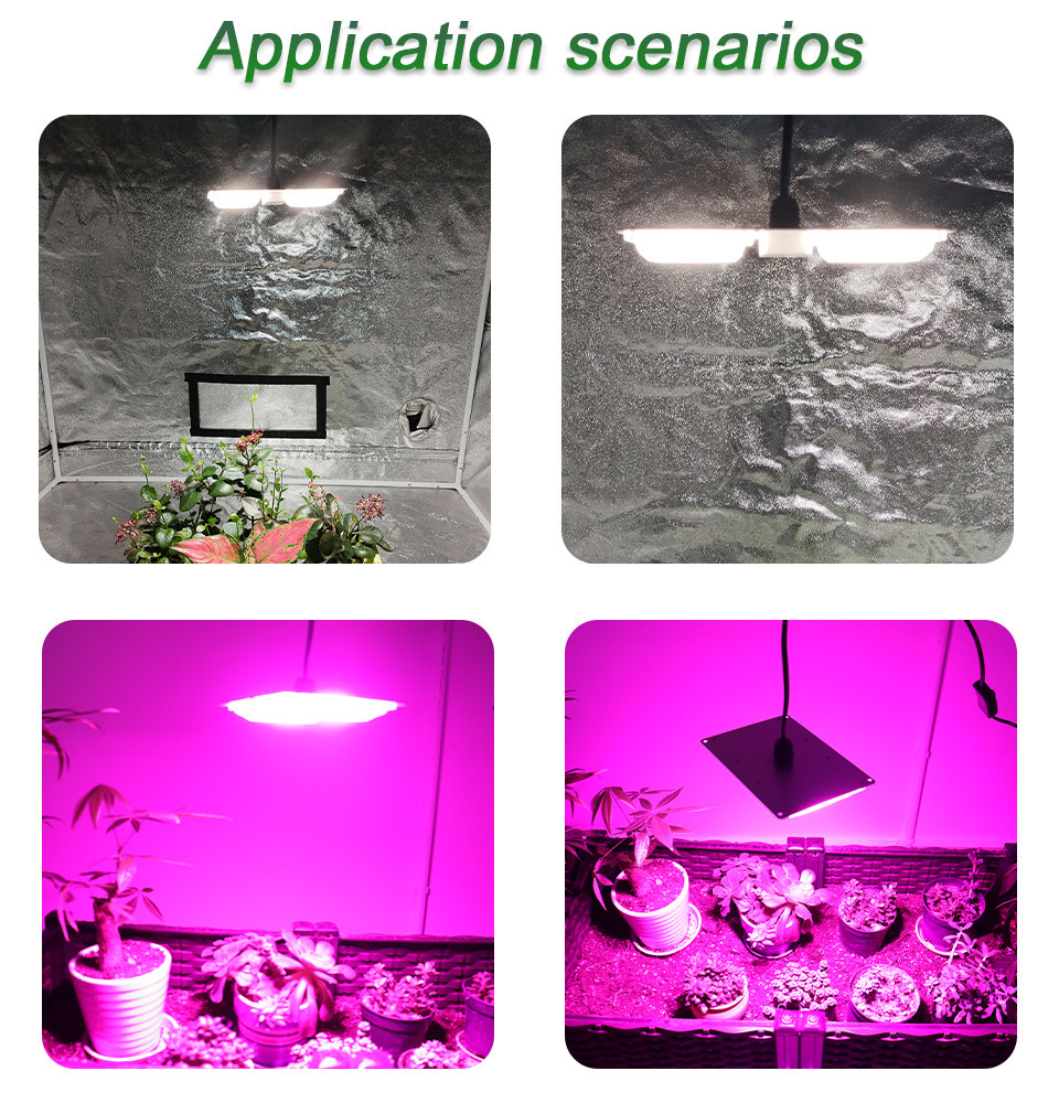 220v COB LED Chip
