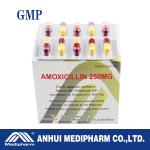 Amoxicillin Capsule 500mg, 10x10's/box, GMP Medicine, BP/USP/CP Standrad