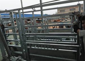Wholesale cattle crushes from china suppliers
