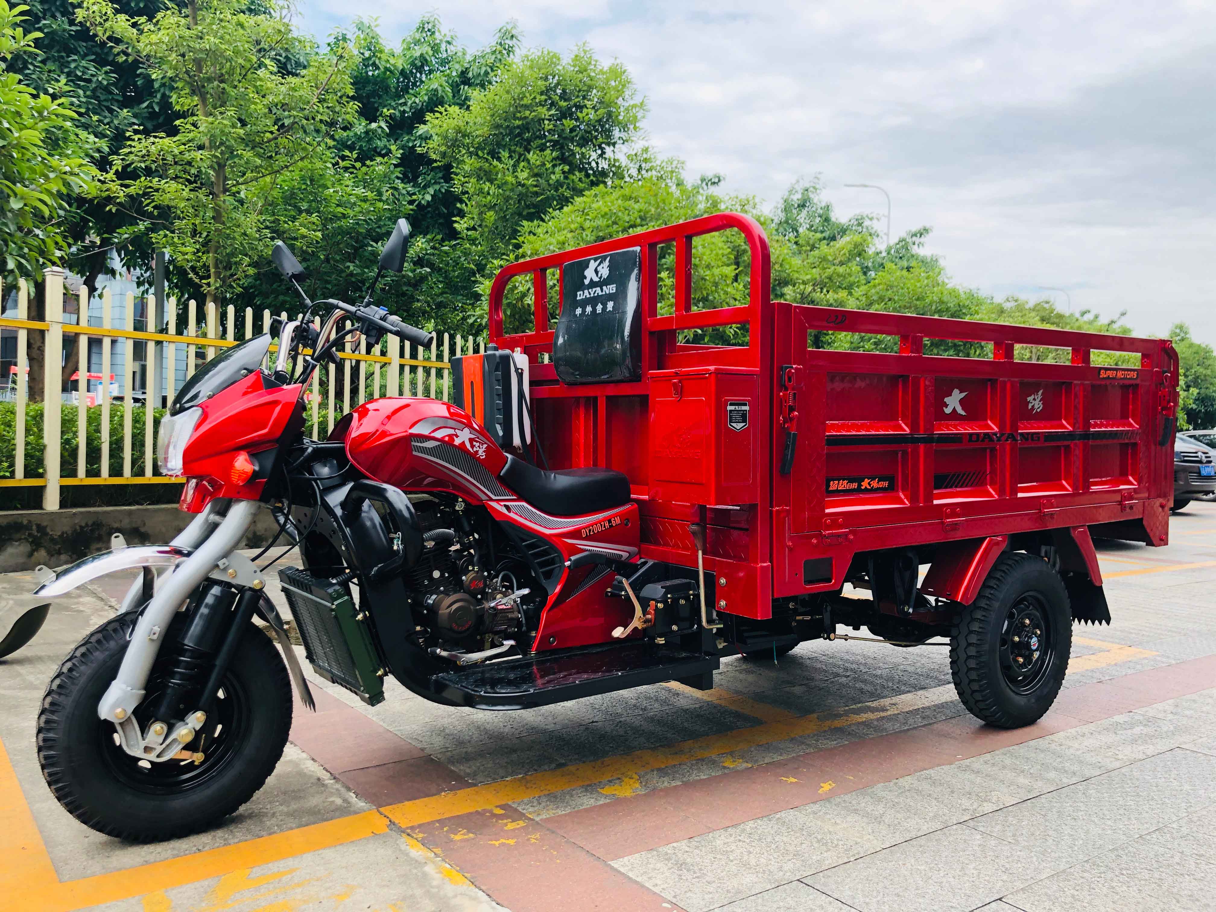 DAYANG Cargo Tricycle with Rear Axle Floating Booster King Three Wheels Motorcycle