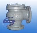 JIS-marine-cast iron swing check valve F7372 5k5 F7373 10k