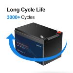 23ah 12V LiFePo4 Battery 12.8v Lithium Ion Battery OEM ODM