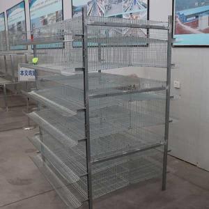 Wholesale High Performance Farming Quail Indoor Cage , Waterproof Breeding Canary Cages from china suppliers
