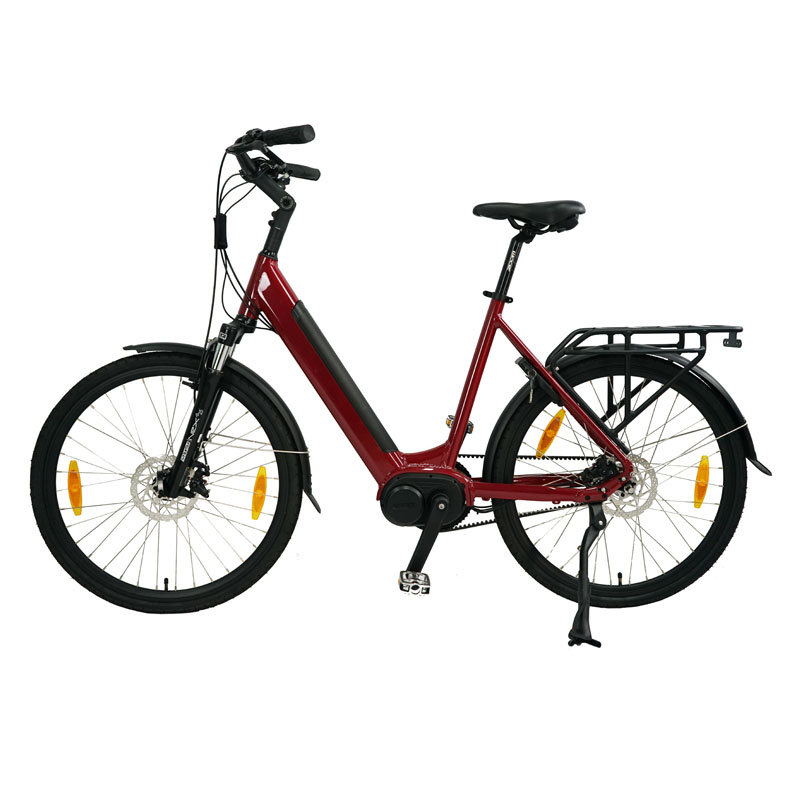 Electric Bicycle for Adults Fast Speed Customized Design and 1-3 Hours Charging Time