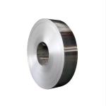 Heat Resistant Stainless Steel Strip 310S 321 Grades 0.2-4mm ASTM A167
