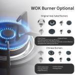 Multifunction 5 Burner Gas Stove Standard Stainless Steel Gas Cooker