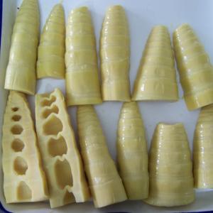 China Sweet Flavor Canned 100% Fresh Bamboo Shoot Steamed Processing Type on sale