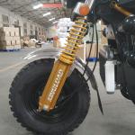Three Wheel Petrol 350kg 250CC Cargo Tricycle