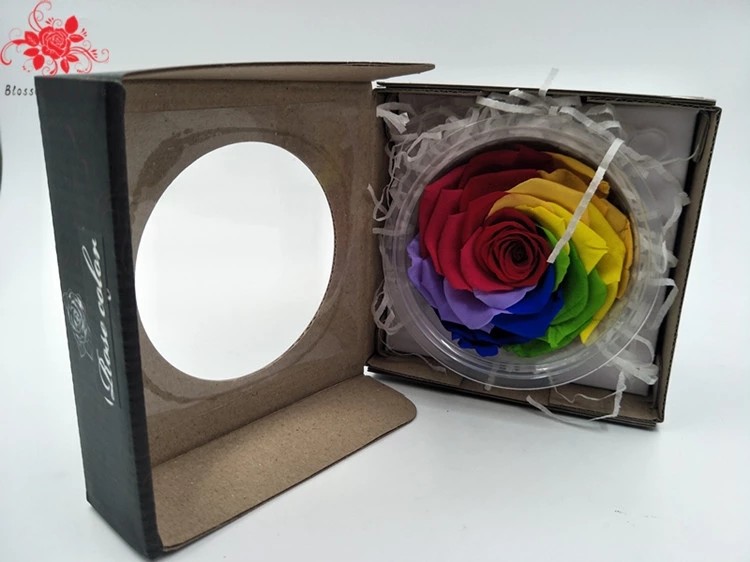 9-10cm Dried Preserved Flower Roses Forever Gift for Birthday Valentines Christmas Day 1pcs/box