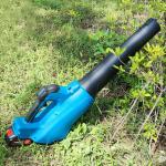 1000W Combustion Leaf Blower High Pressure Electric Snow Blowing Soot Dust