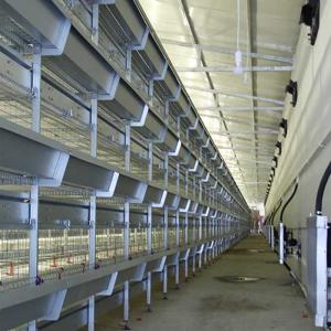 Wholesale Less Feed Wastage Indoor Chicken Cage , Auto Feeding Poultry Farm Cage from china suppliers