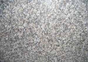 Wholesale Canada Caledonia Granite Countertop Slabs , Grey Polished Granite Slabs from china suppliers