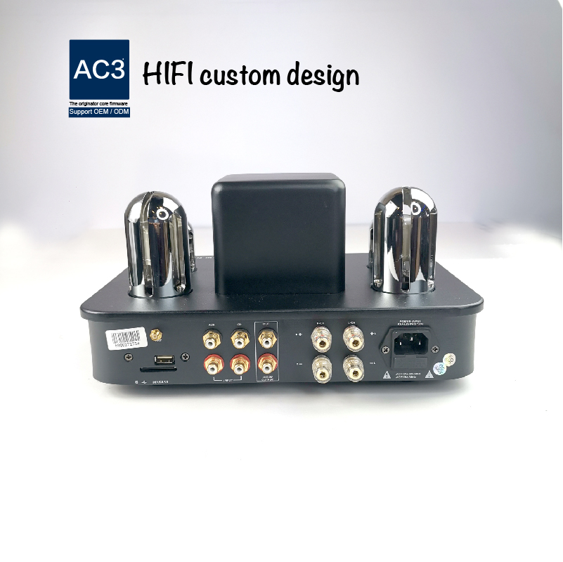 USB SD APE WAV 2 Channel Mini Tube Amplifier