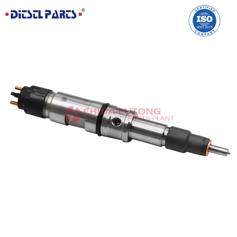 Diesel Common Rail Fuel Injector 0 445 120 397 0445120397 High Technology Bosch Diesel Fuel Pump Injector 0 445 120 397 Crin2-6dm2FAW 1112010-M10-0000