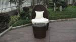 5pcs rattan sofa set