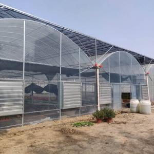 Wholesale Polyethylene Film Multi Span Greenhouse Agricultural Commercial Industrial from china suppliers