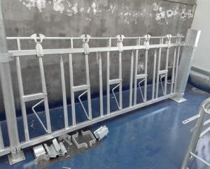 Wholesale Silver Color Cattle Headlock Feeder Livestock Farming Equipment 8ft 10ft 12ft from china suppliers