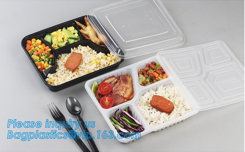 Factory Direct Lid Plastic Lunch Box Clear Food Container,Keep Fresh Crisper Food Box,Fresh Boxpp packaging disposable c