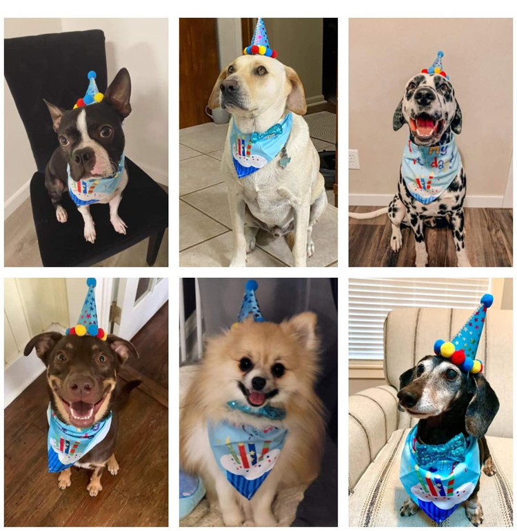 Dog's Birthday Party Supplies Pull Flag Hat and More Get Ready Celebrate