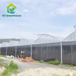 Industrial Sawtooth Plastic Film Greenhouses 3.0m-6.0m Gutter Flower Farm