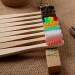 Natural Charcoal Biodegradable Bamboo Toothbrush Soft Bristles