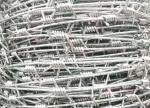 Durable Single Twisted Concertina Barbed Wire Protection Against Corrosion And