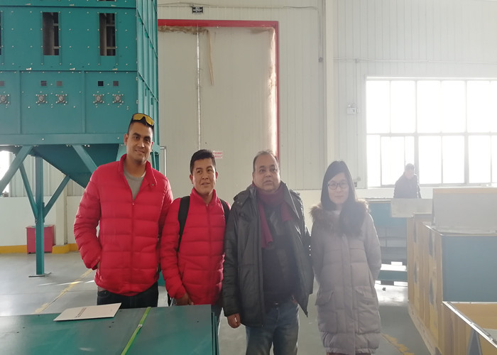 EAGLE 20kg Stand Bag Granule Packing Machine In Rice Industry