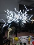 led trees outdoor