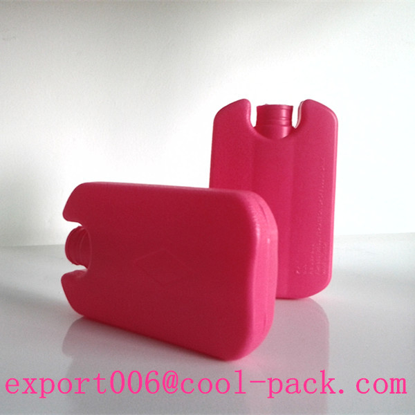small capacity summer use cooler box for keeping forrd fresh