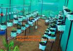 Planter Bags, Grow Bags, Cultivating Bags, Nursery Pot, Greenhouse, Agricultural